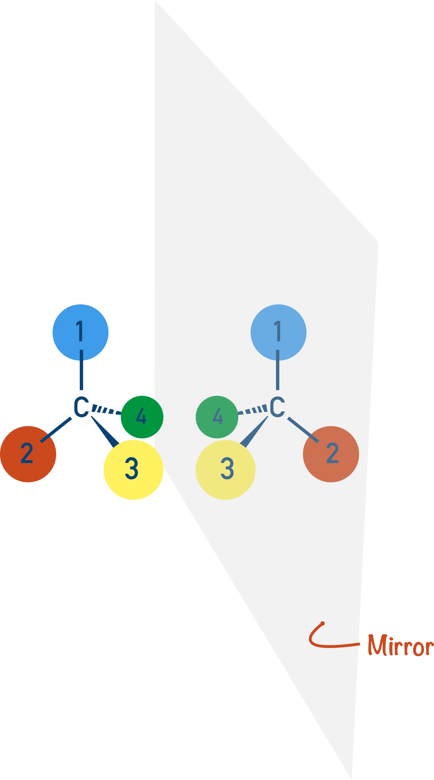 chiral carbon enantiomers mirror images