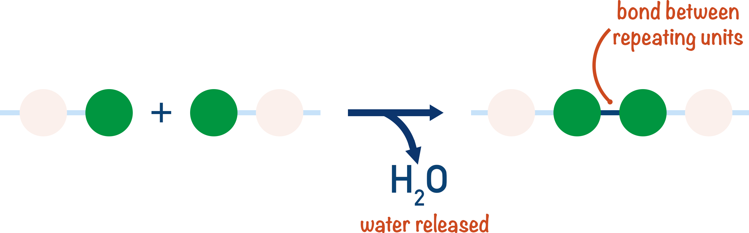 condensation polymerisation water release