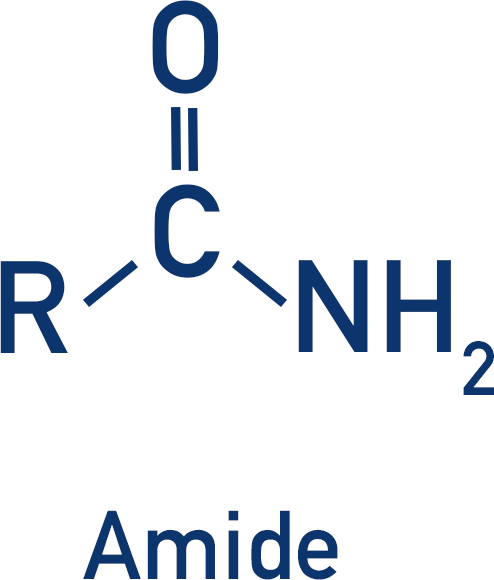functional group amide structure