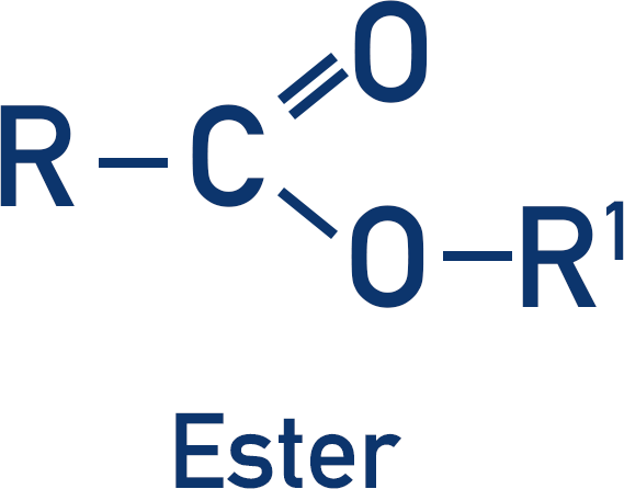 functional group ester structure