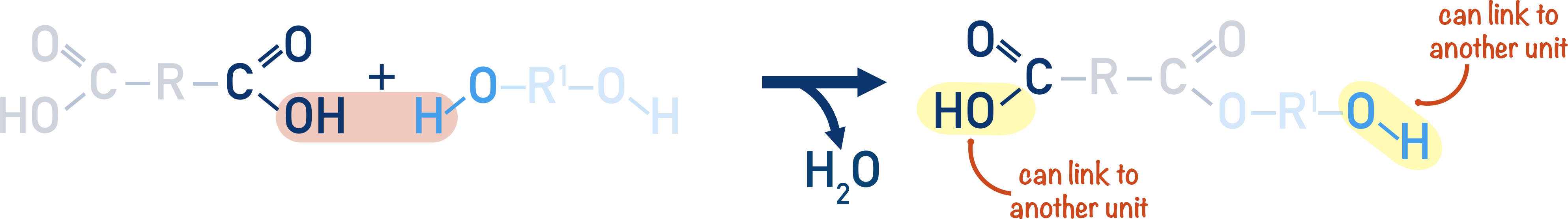 polyester formation condensation polymerisation dicarboxylic acid and diol