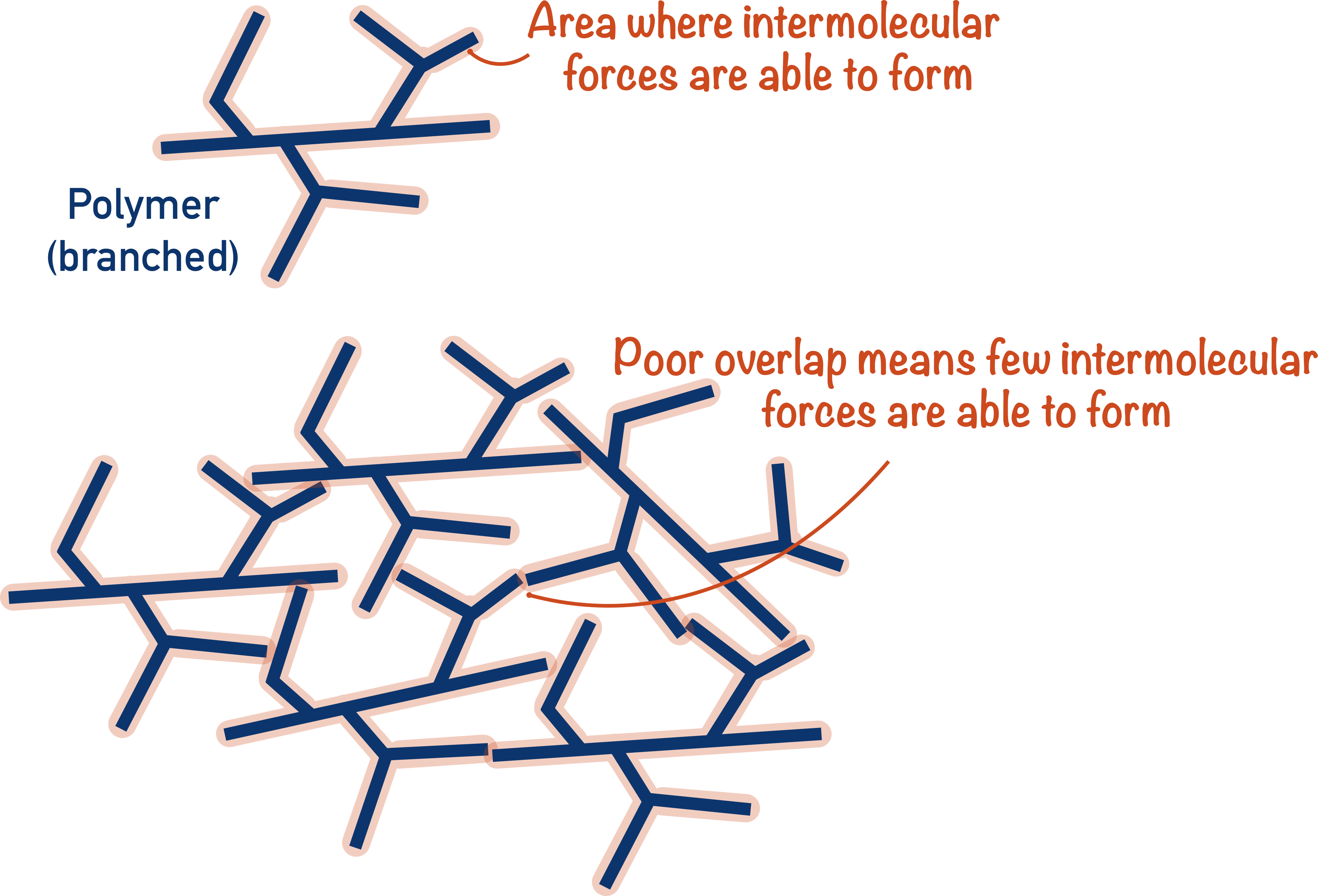 polymer properties branched low melting point