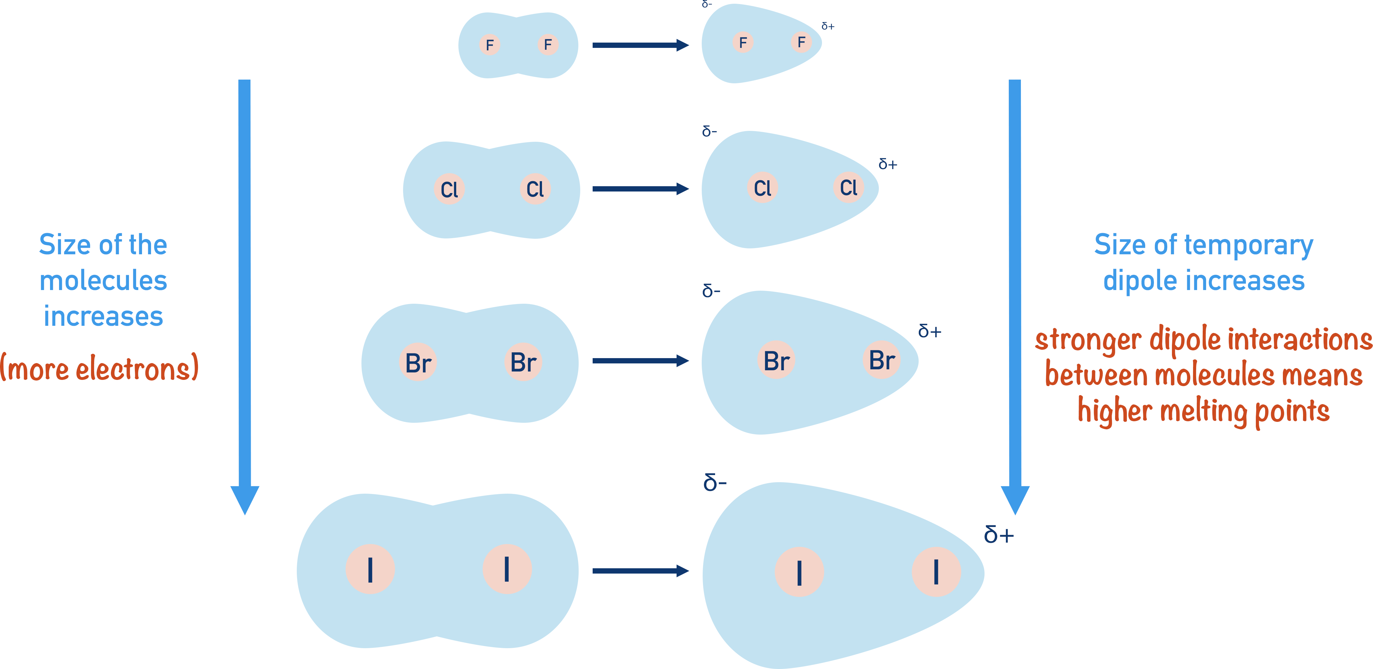 how melting and boiling point of halogens change due to intermolecular forces