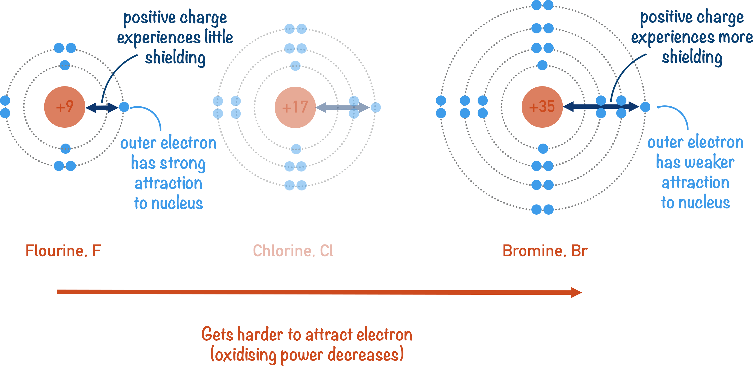 oxidising power of halogens due to electron shielding flourine chlorine and bromine