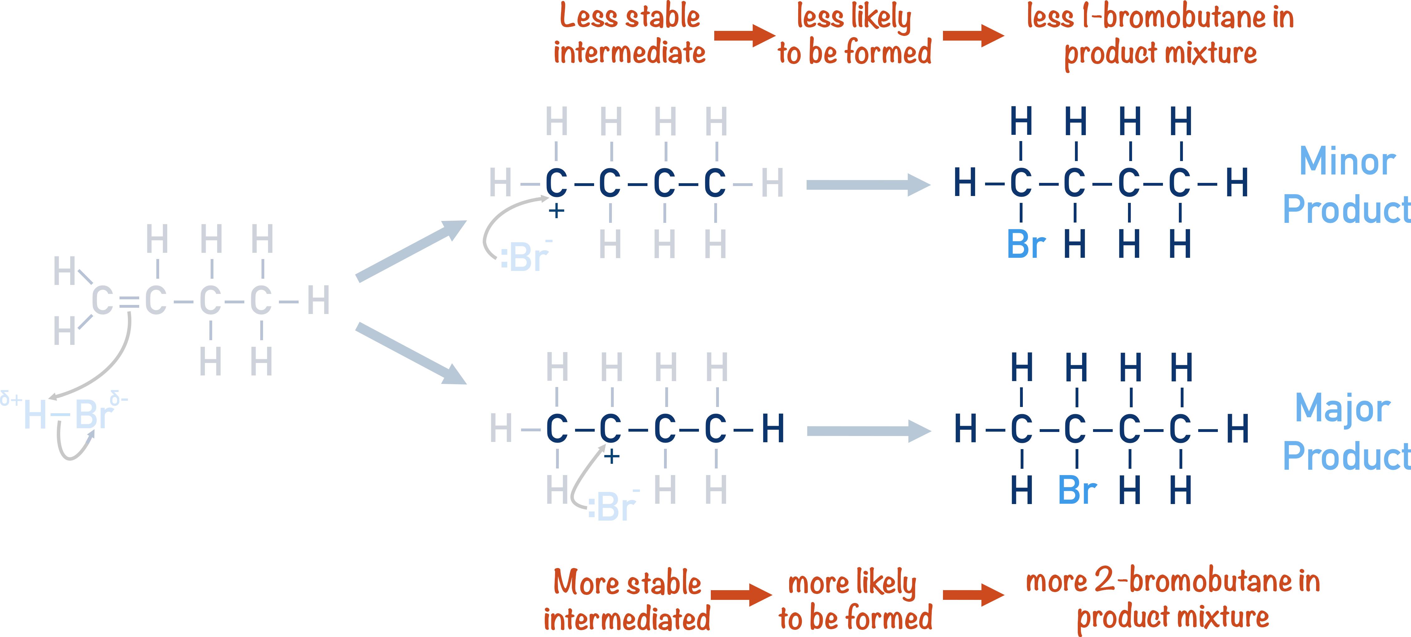 major and minor products electrophilic addition of butene with hydrogen bromide primary and secondary carbocations