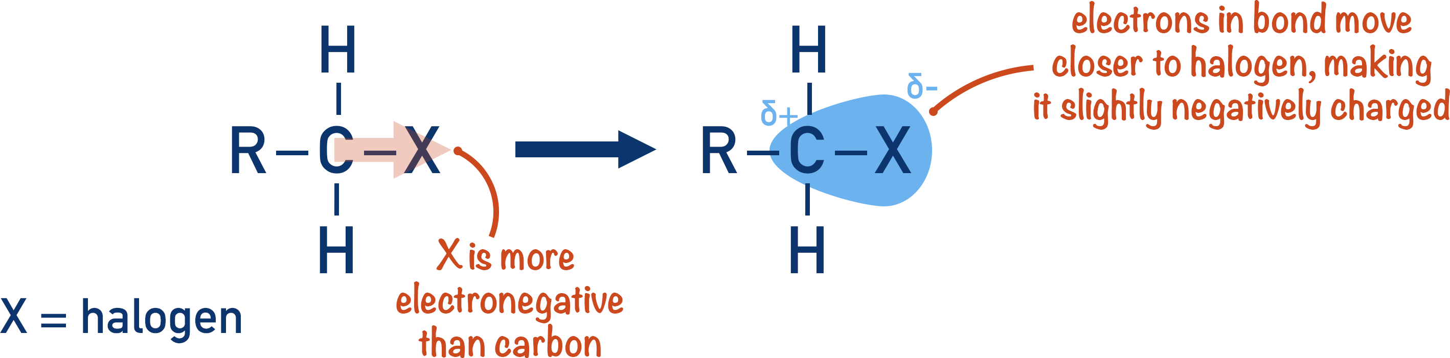 functional group of halogenoalkanes polarity
