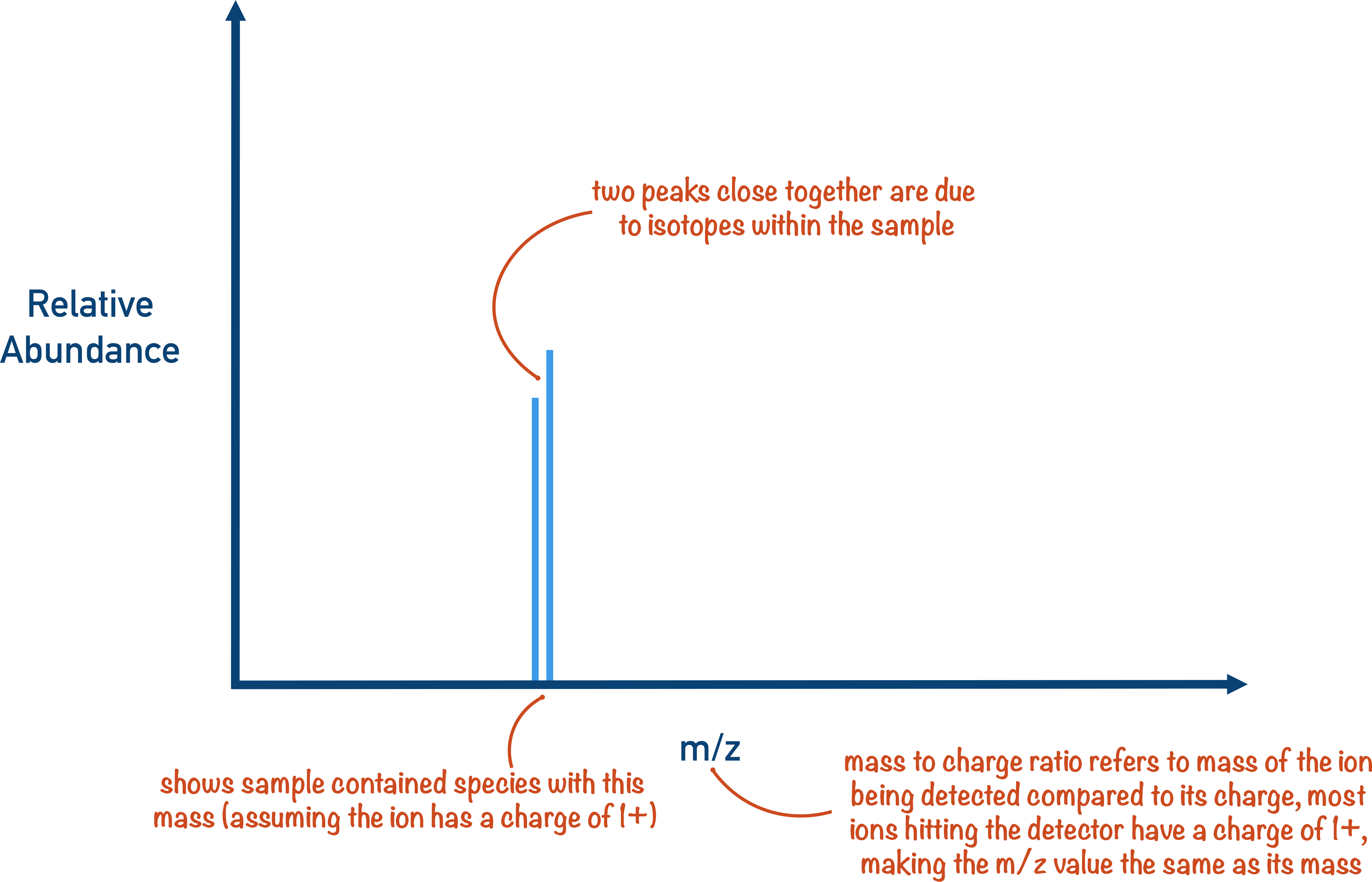 Mass Spectrometry Spectra mass to charge ratio