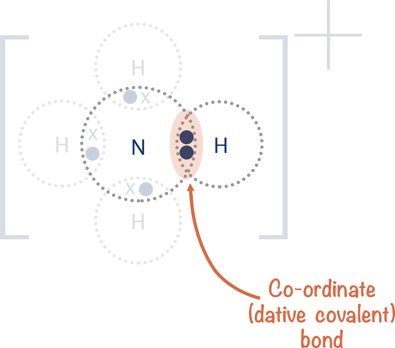 co-ordinate bond forming ammonia acting as a base