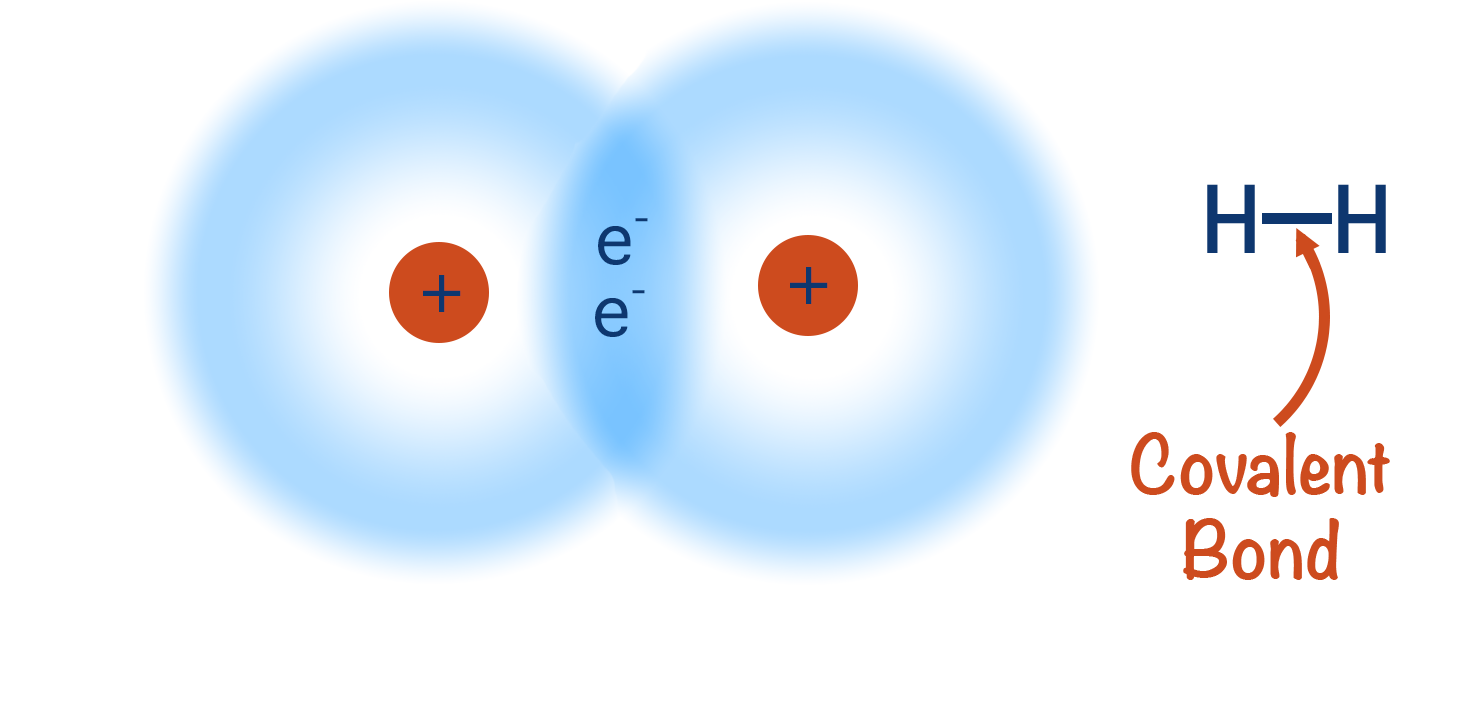 hydrogen molecule covalent bond