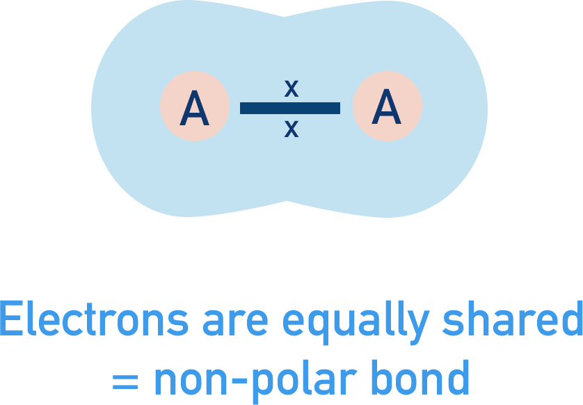electronegativity attraction nuclear charge comparison