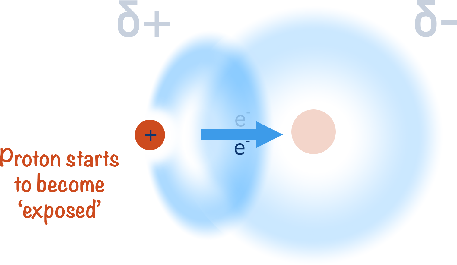 hydrogen bond proton exposed