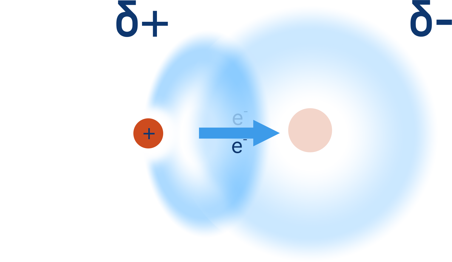 hydrogen bond forming partial charges