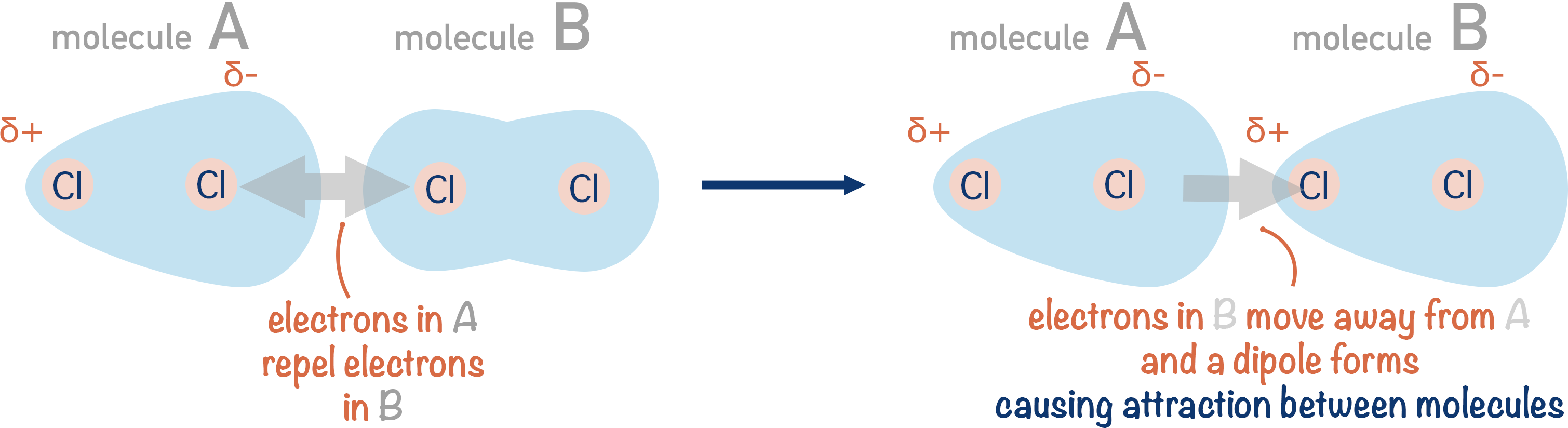 formation of temporary induced dipole-dipolem london forces van der waals
