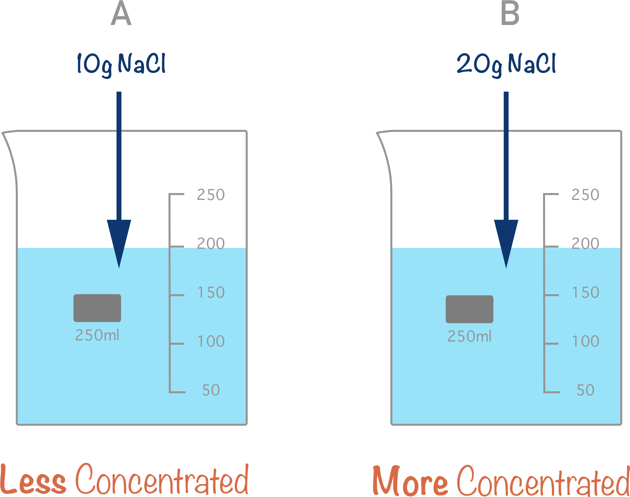 concentration of sodium chloride less and more concentrated beakers
