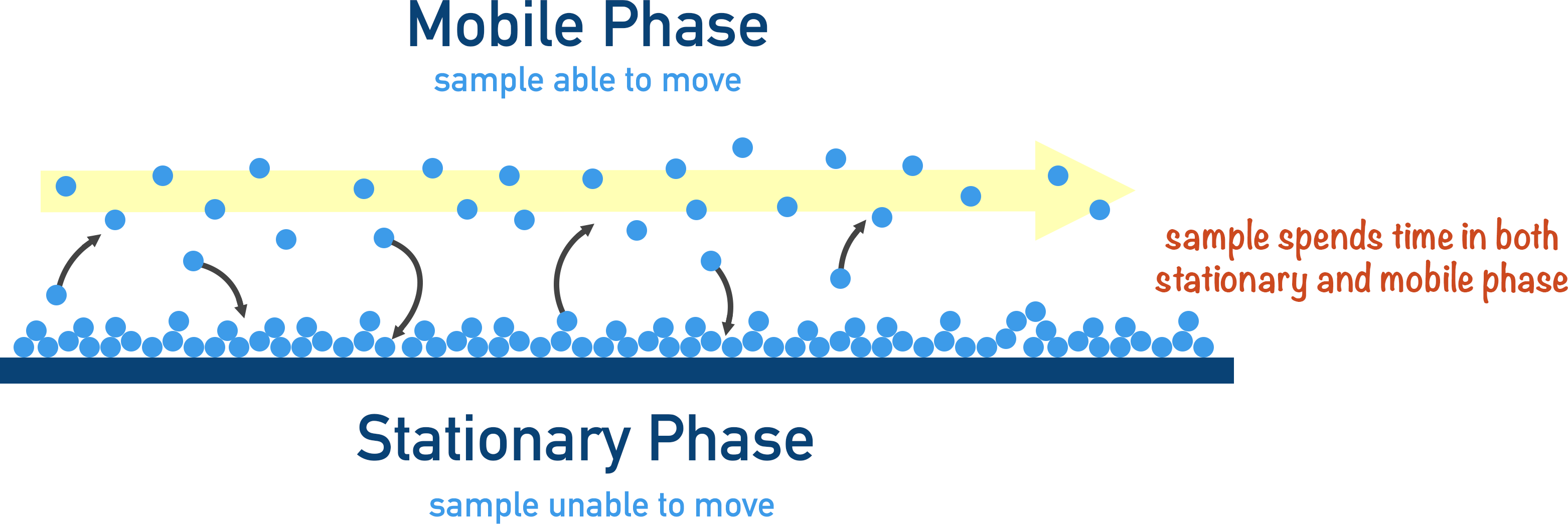 chromatography mobile stationary phase
