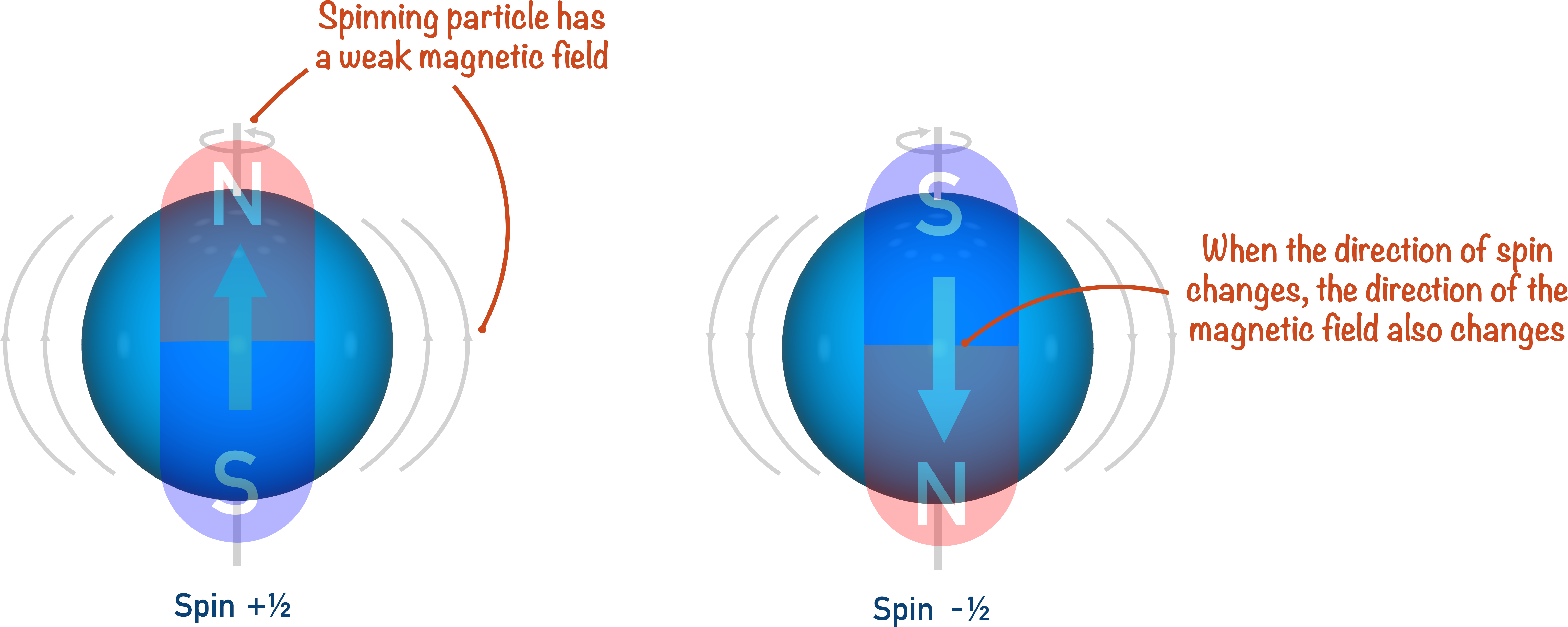 NMR spectroscopy particle spin magnetic field