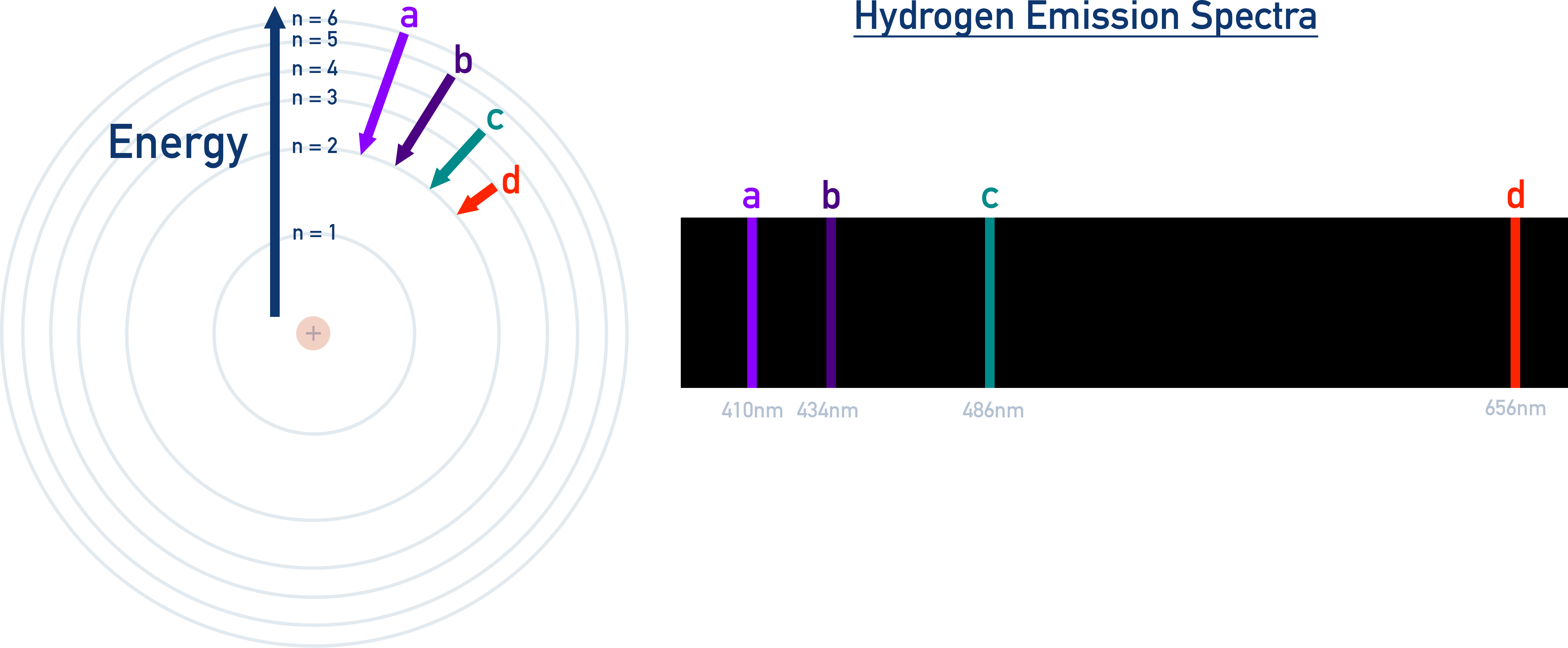NCERT 11 Chemistry hydrogen emission spectrum showing discrete Balmer series lines in the visible region.