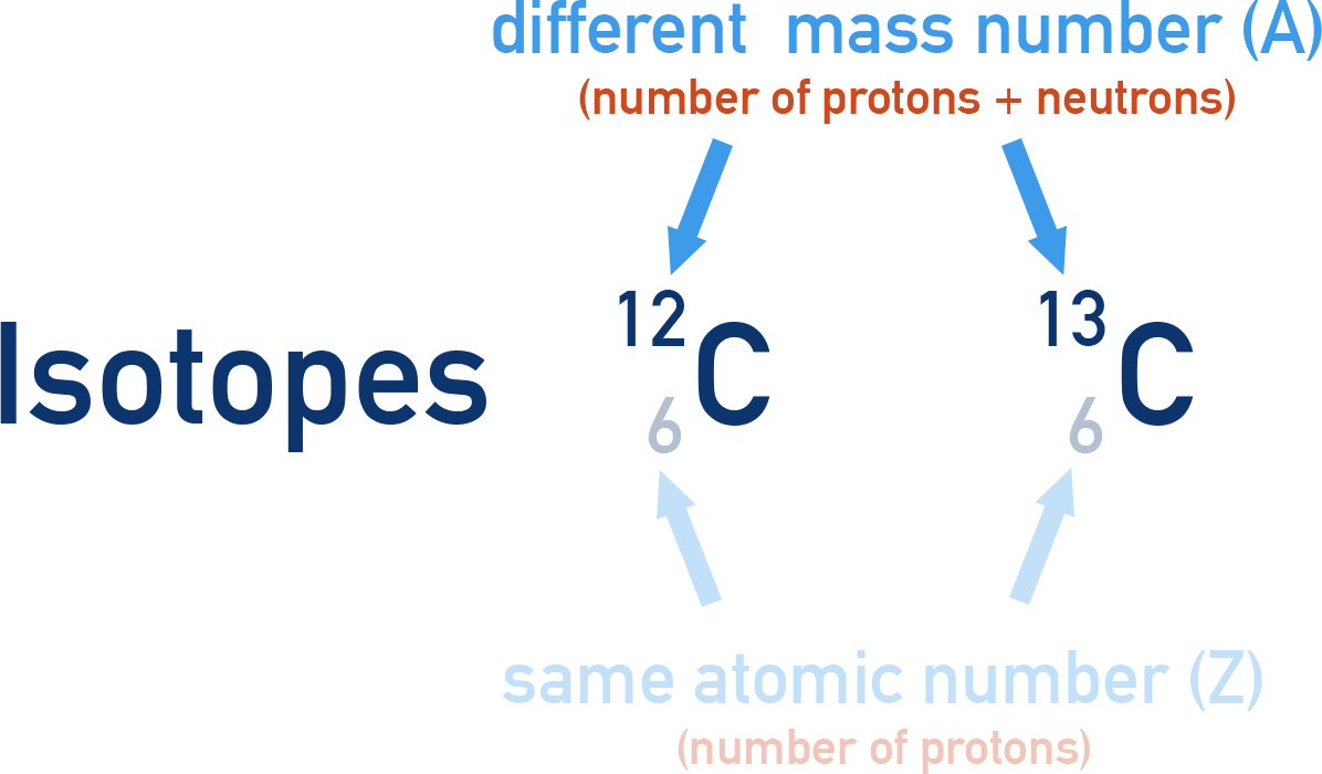 NCERT 11 Chemistry example of isotopes such as carbon-12 and carbon-13 having the same Z but different A.