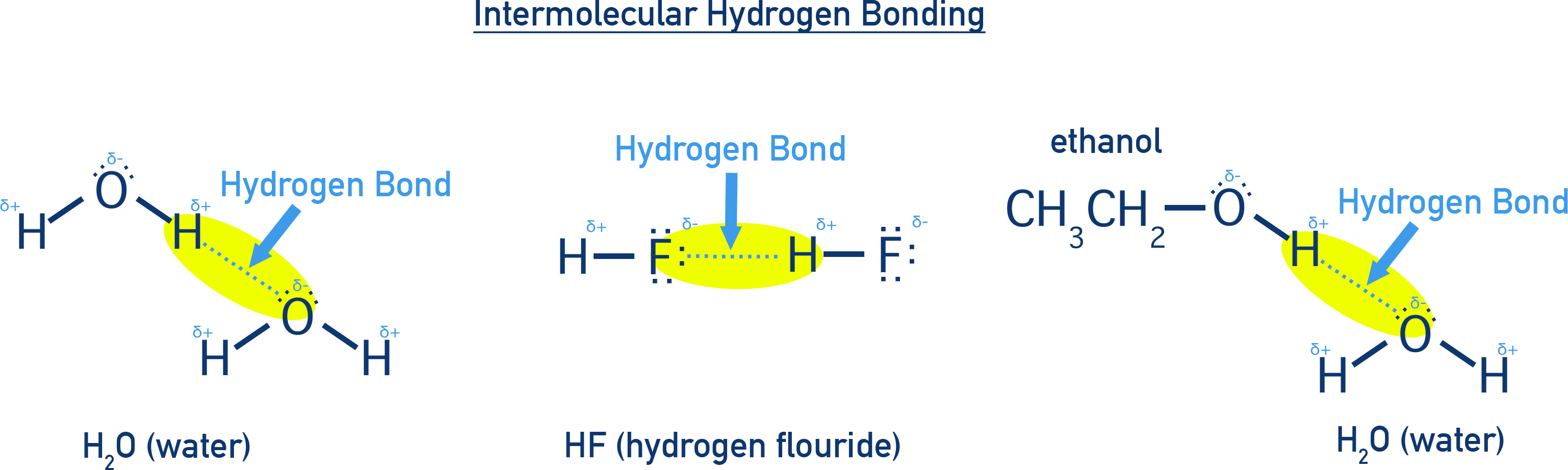 NCERT 11 Chemistry diagram showing intermolecular hydrogen bonding forming extended networks between molecules.