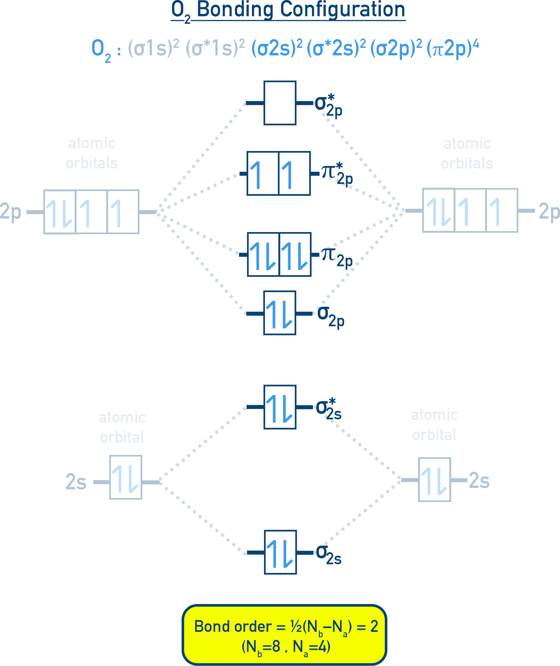 NCERT 11 Chemistry MO diagram for O₂ showing two unpaired electrons in π* orbitals and bond order 2, explaining paramagnetism.