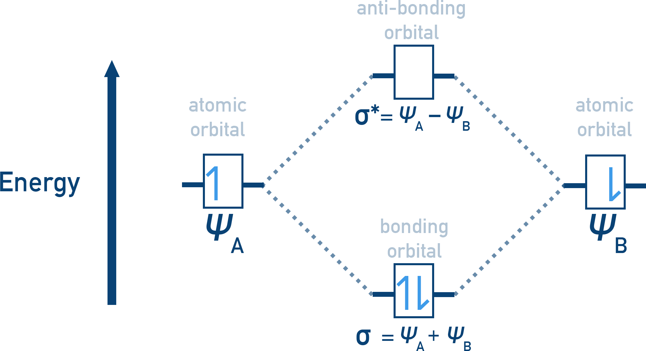 NCERT 11 Chemistry diagram showing LCAO formation of bonding and antibonding molecular orbitals from two 1s atomic orbitals.