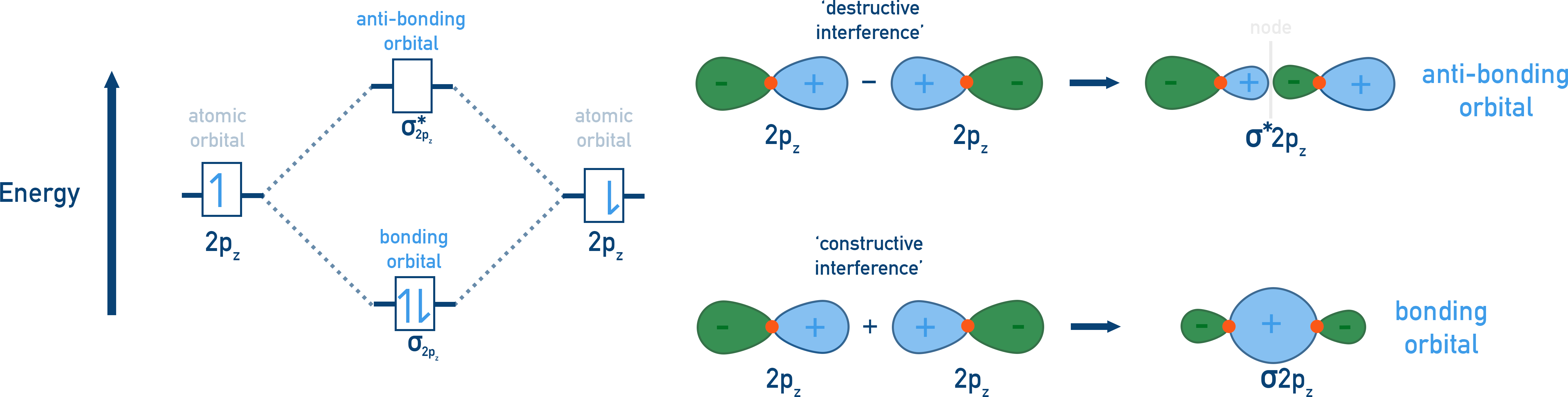 NCERT 11 Chemistry example of sigma bonding from head-on overlap of two p orbitals aligned along the bond axis.