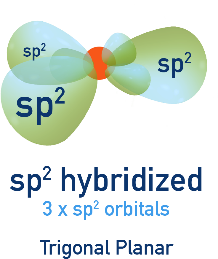 NCERT 11 Chemistry diagram showing sp² hybridisation giving trigonal planar arrangement at 120°.