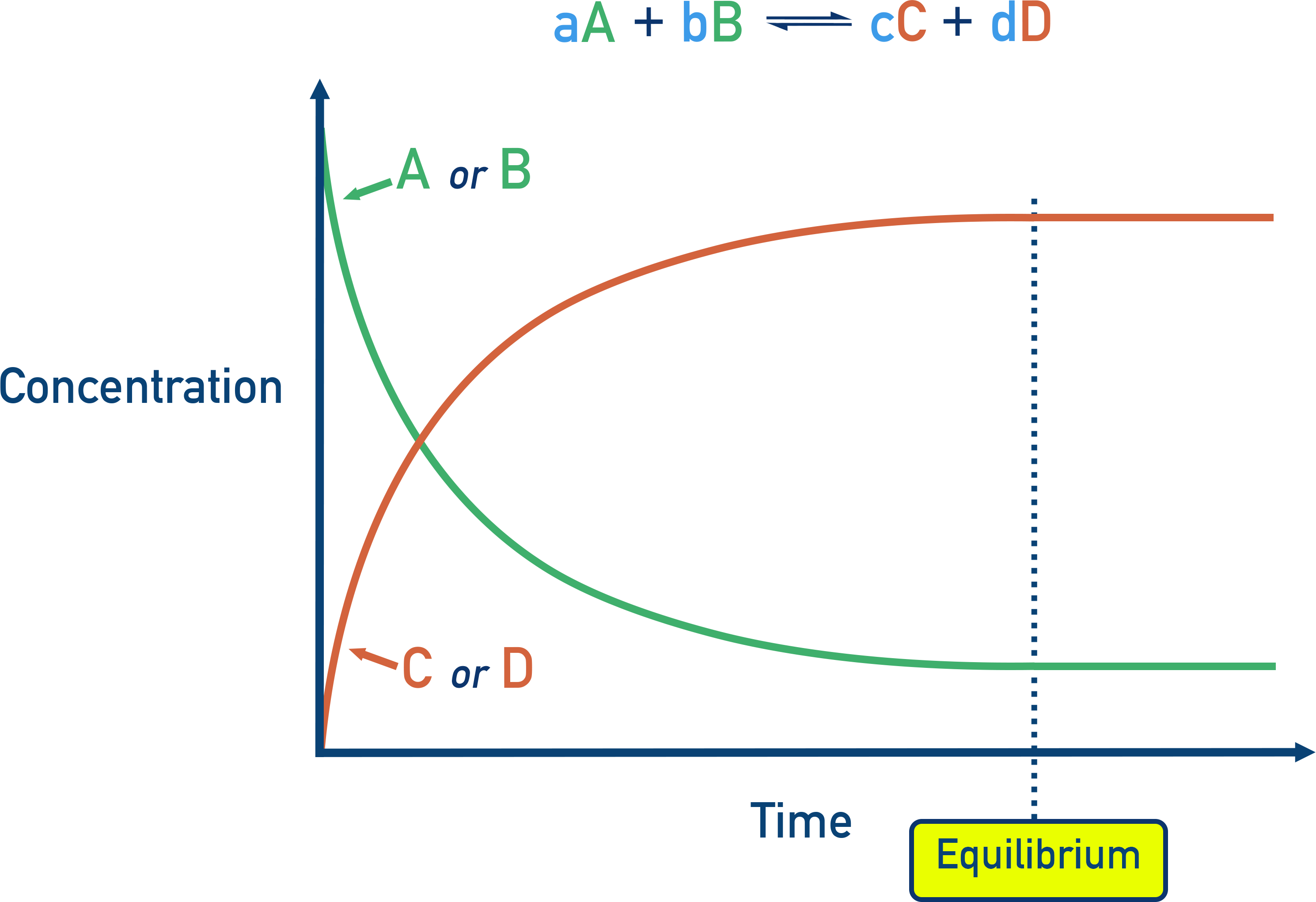 NCERT 11 Chemistry time-course graph showing concentrations of A, B decreasing and C, D increasing until levels flatten at equilibrium.