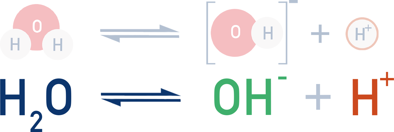 NCERT 11 Chemistry diagram of water autoionization showing H2O in equilibrium with H+ and OH− ions.