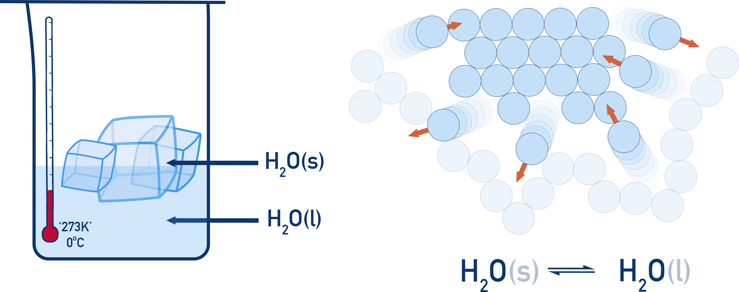 NCERT 11 Chemistry diagram showing ice and water at 0 °C in dynamic equilibrium where melting and freezing rates are equal.