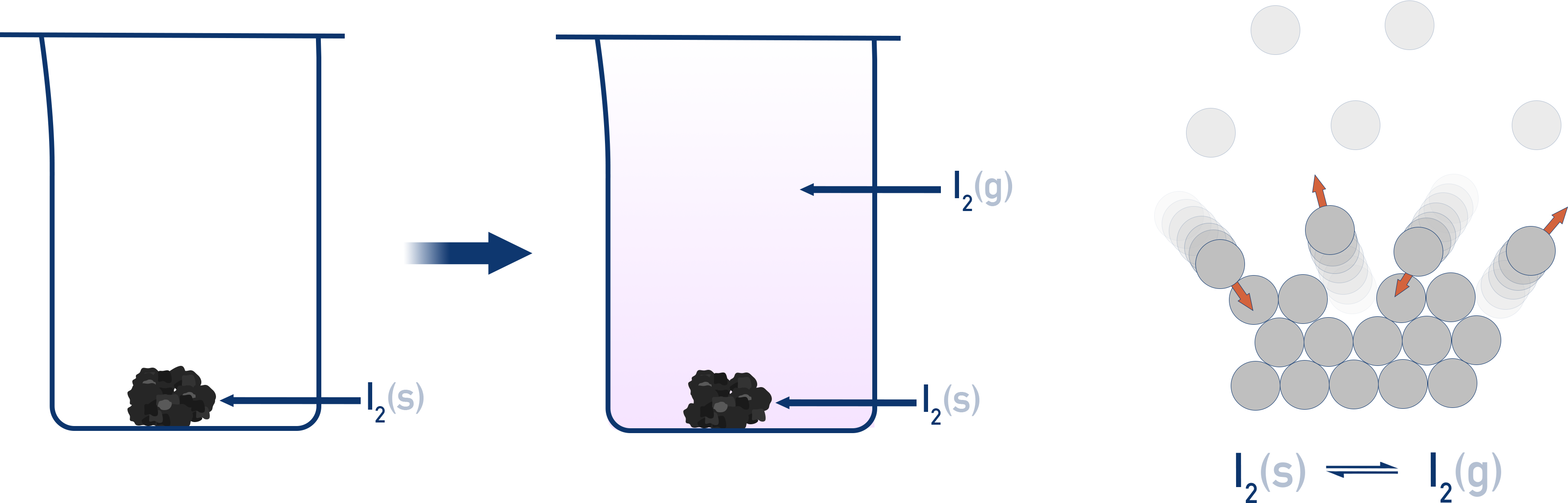 NCERT 11 Chemistry photo of iodine sublimation showing purple vapour above solid iodine in a closed container at equilibrium.
