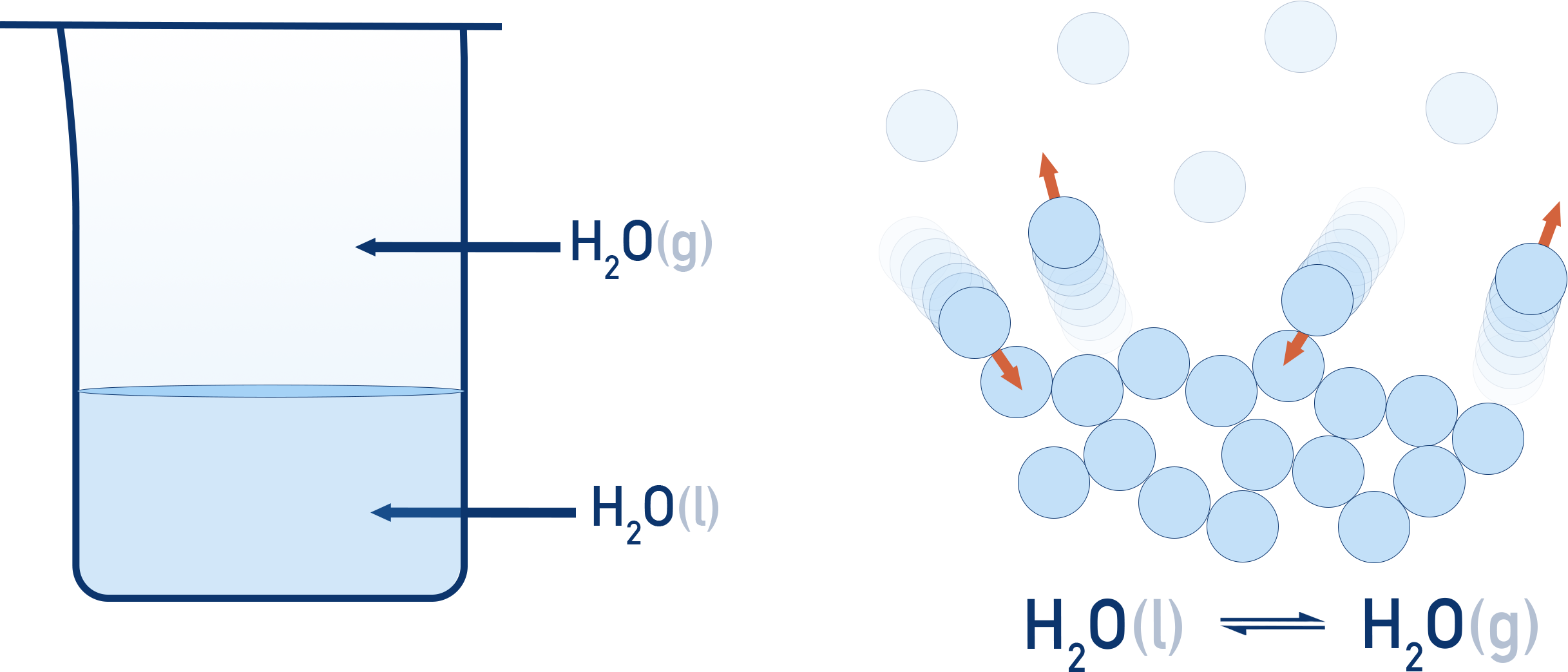 NCERT 11 Chemistry illustration of liquid–vapour equilibrium showing evaporation and condensation in a closed container.