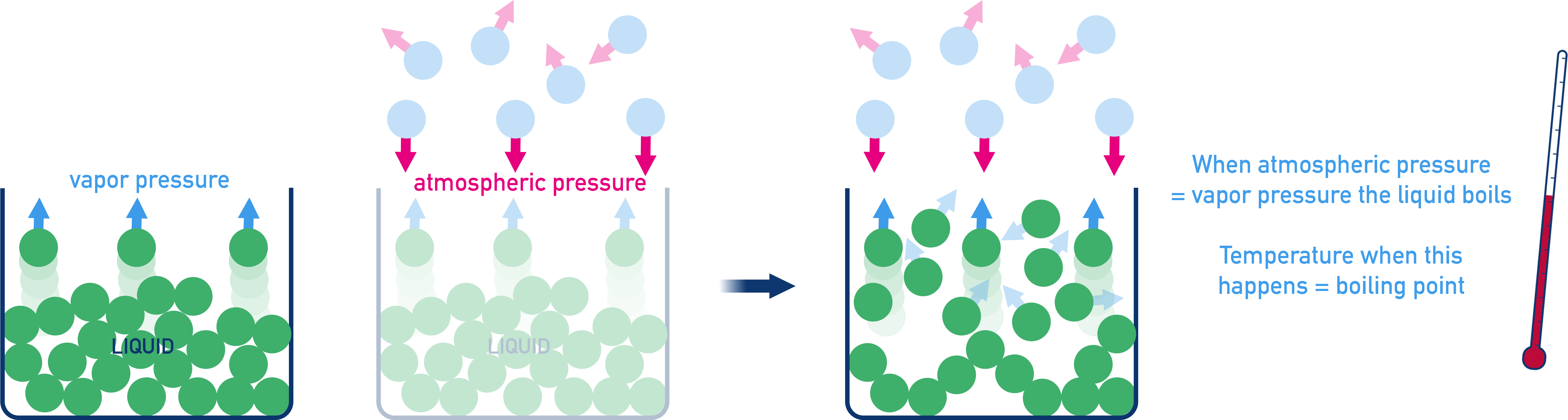 NCERT 11 Chemistry diagram showing the boiling point when vapour pressure equals external atmospheric pressure and bubbles form.