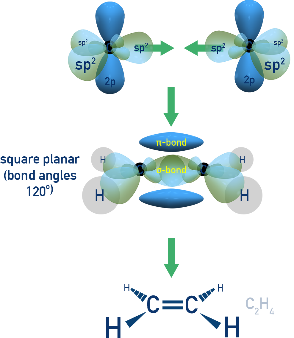 IB Chemistry NCERT Class 11 diagram showing sp2 hybridisation in ethene with a planar trigonal geometry and 120° bond angles; the p orbitals overlap to form a pi bond.