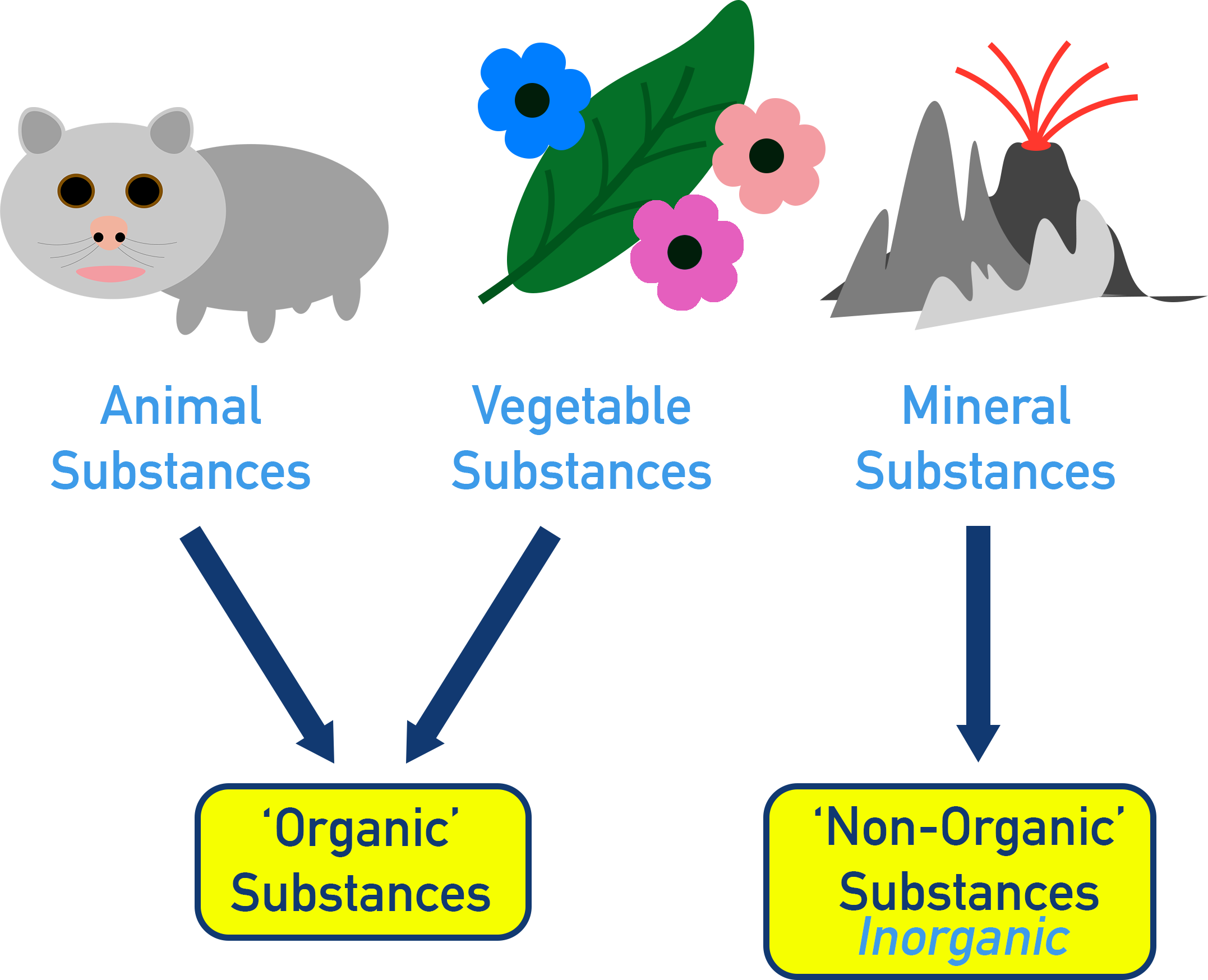 NCERT 11 Chemistry overview image introducing organic compounds and their sources in living organisms and materials.
