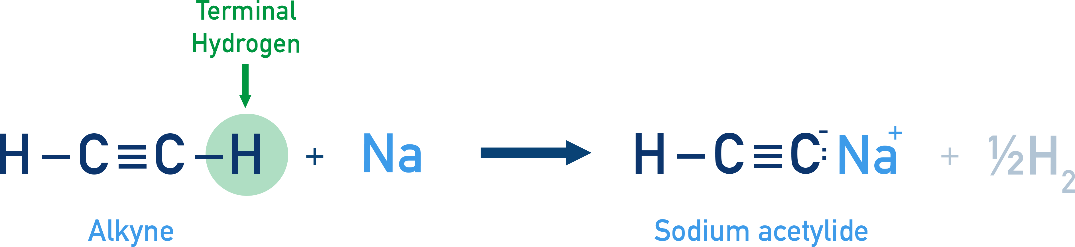 IB Chemistry NCERT Class 11 reaction showing terminal alkyne forming sodium acetylide with evolution of hydrogen gas, illustrating acidic character.