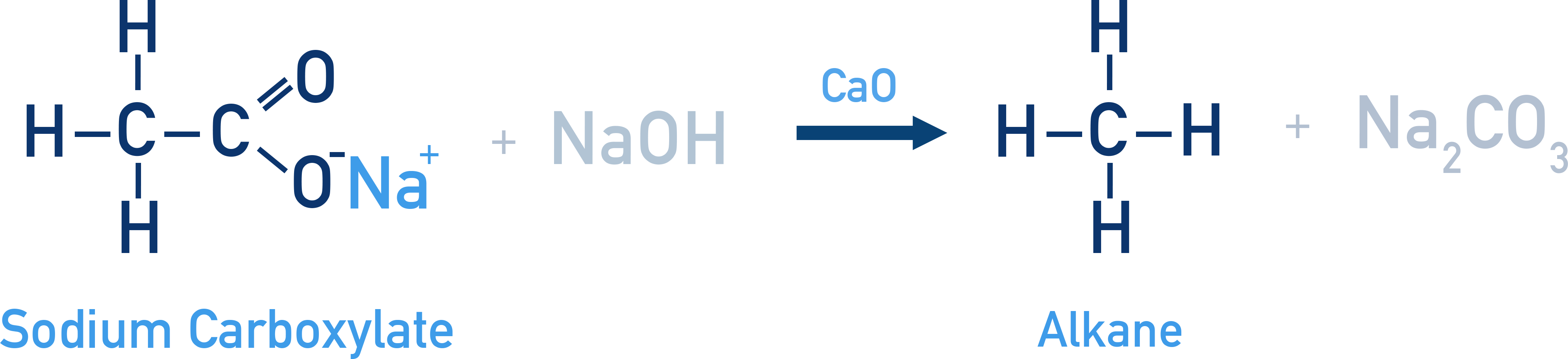 NCERT 11 Chemistry decarboxylation of sodium carboxylate with soda lime producing an alkane one carbon shorter.