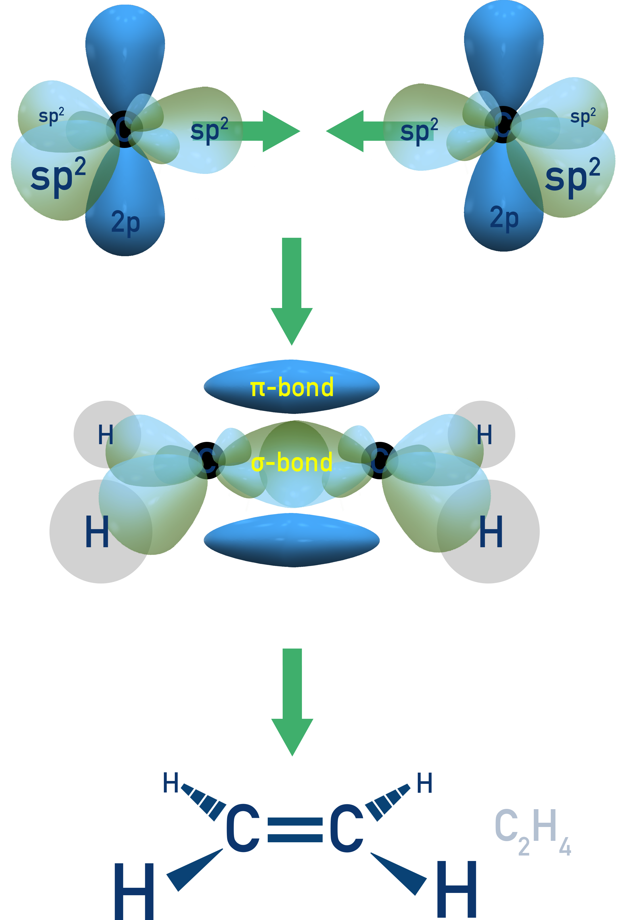 NCERT 11 Chemistry diagram showing alkene double bond with one sigma bond from sp2–sp2 head-on overlap and one pi bond from sideways p–p overlap.