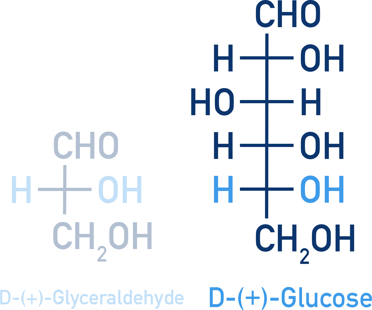 Chemistry NCERT Class 12 Carbohydrates: Fischer projection of D-(+)-glucose.