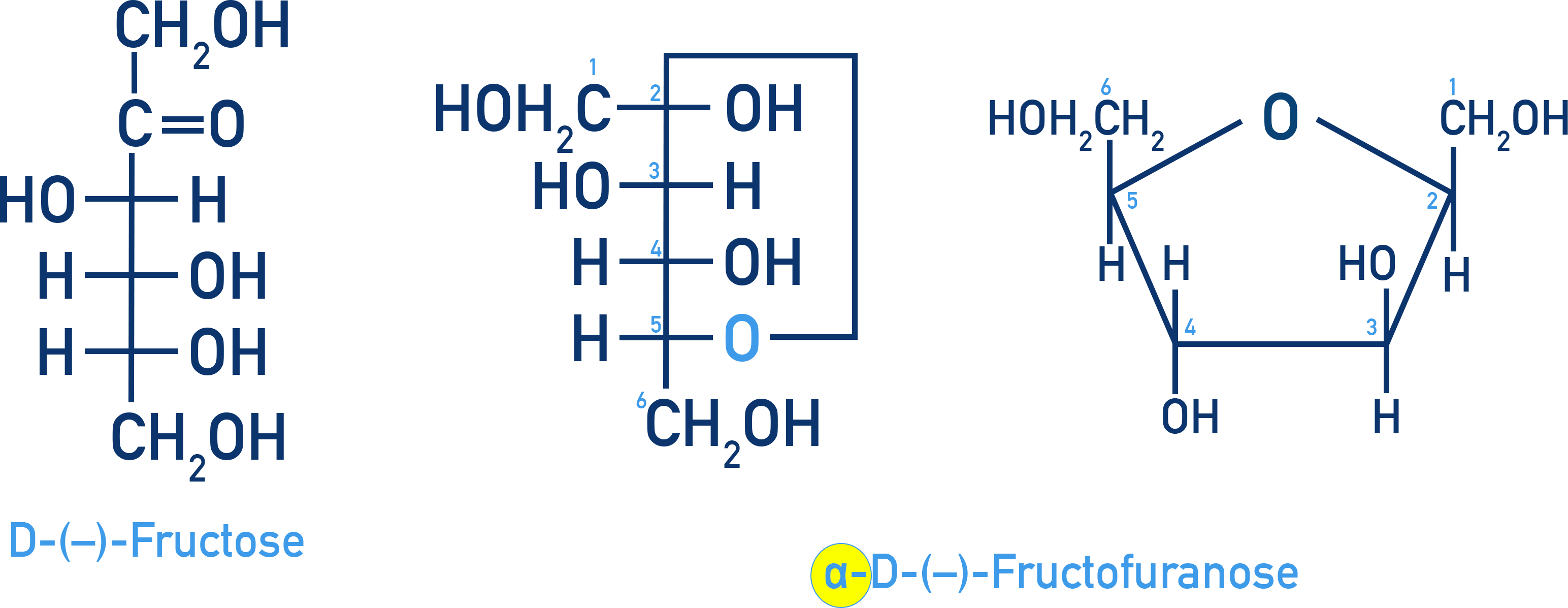Chemistry NCERT Class 12 Carbohydrates: structure of fructose including furanose ring formation from C-2 carbonyl and C-5 hydroxyl.