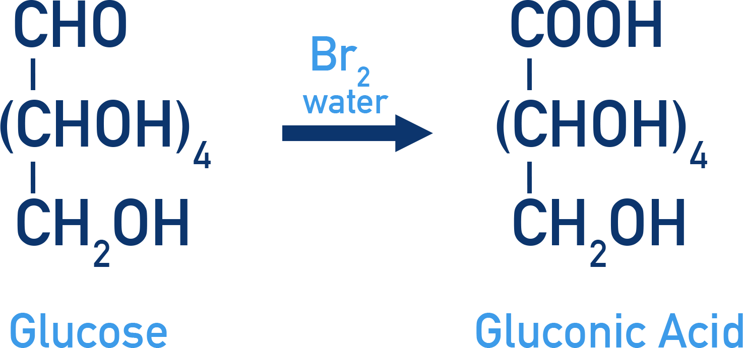 Chemistry NCERT Class 12 Carbohydrates: oxidation of glucose with bromine water to gluconic acid proving aldehyde.