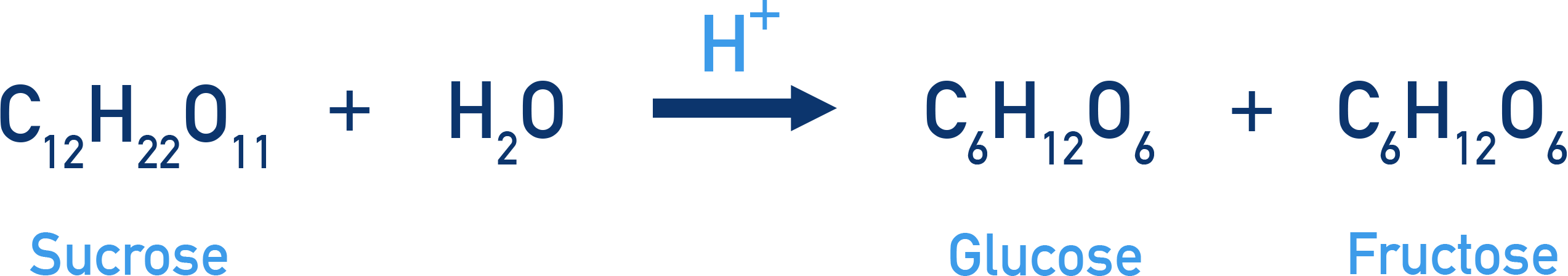 IB Chemistry NCERT Class 12 Carbohydrates: hydrolysis of sucrose giving equimolar D-glucose and D-fructose.