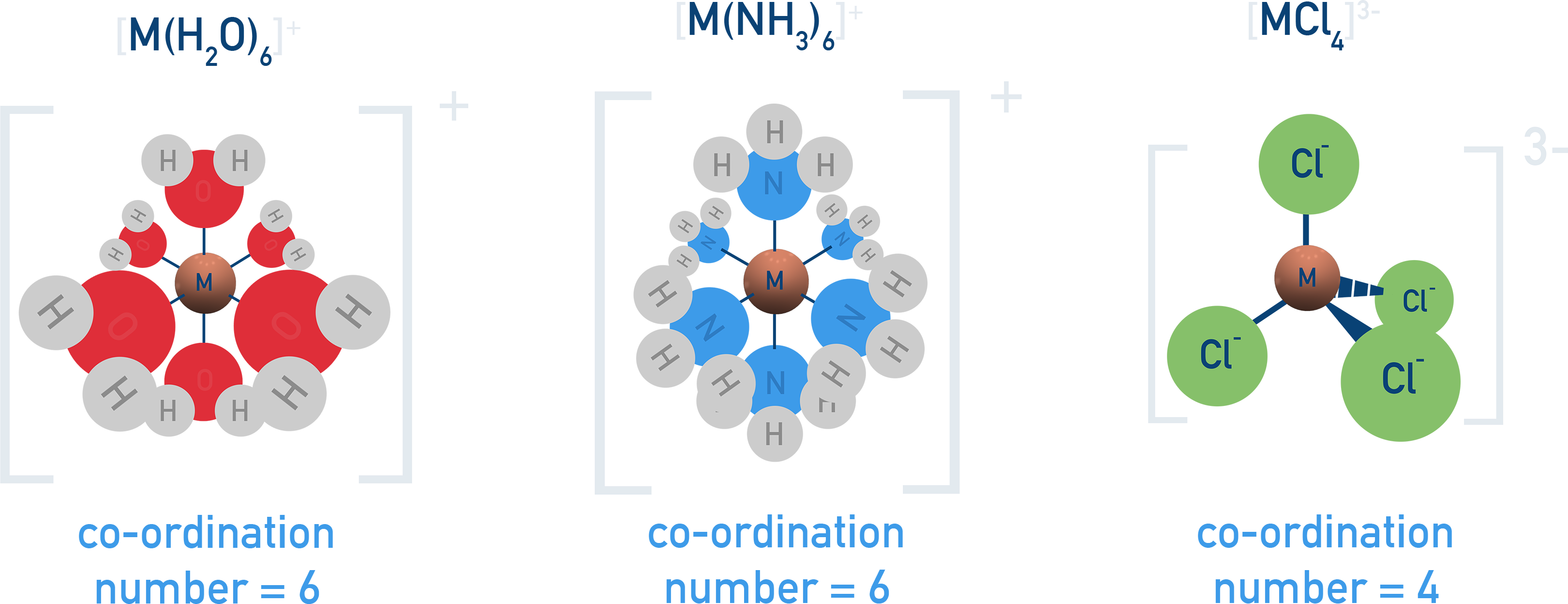 NCERT 12 Chemistry overview of common coordination numbers and corresponding shapes for monodentate ligands.