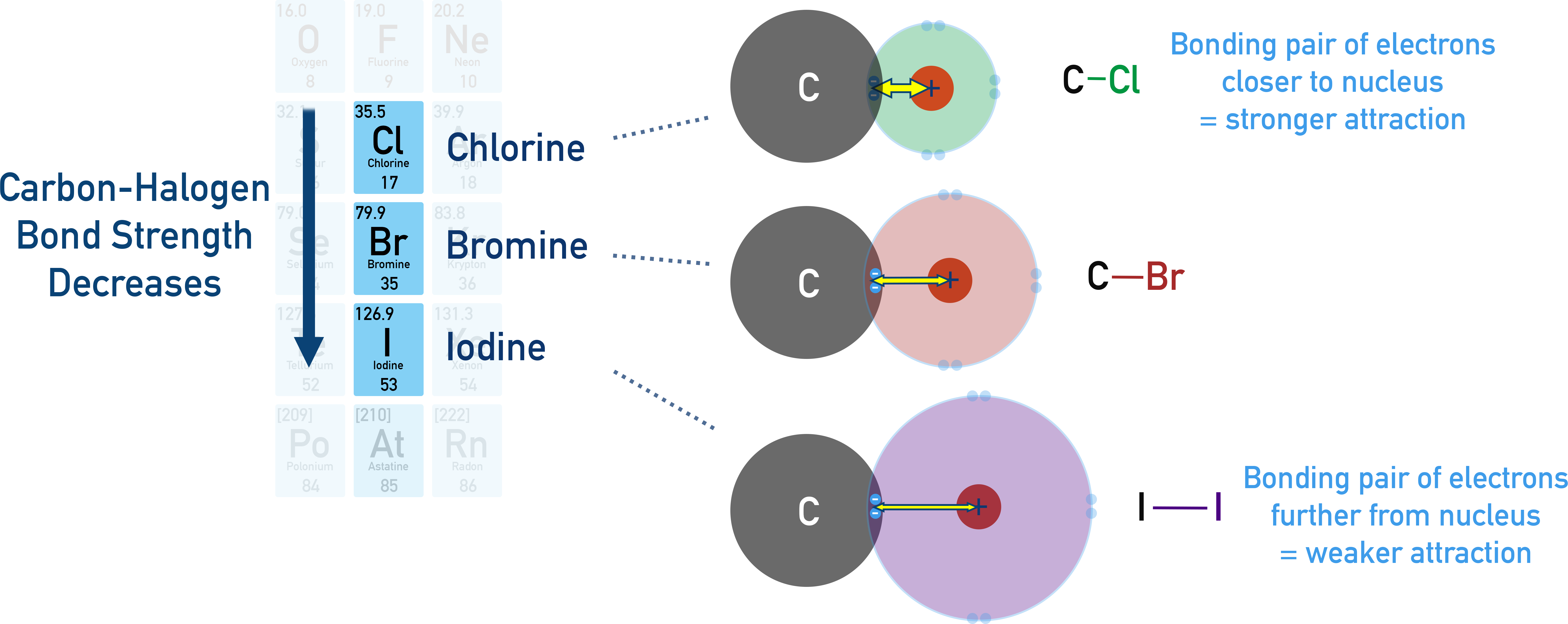 NCERT Chemistry Class 12 — trend chart of carbon–halogen bonds showing increasing bond length and decreasing bond dissociation enthalpy from C–F to C–I.