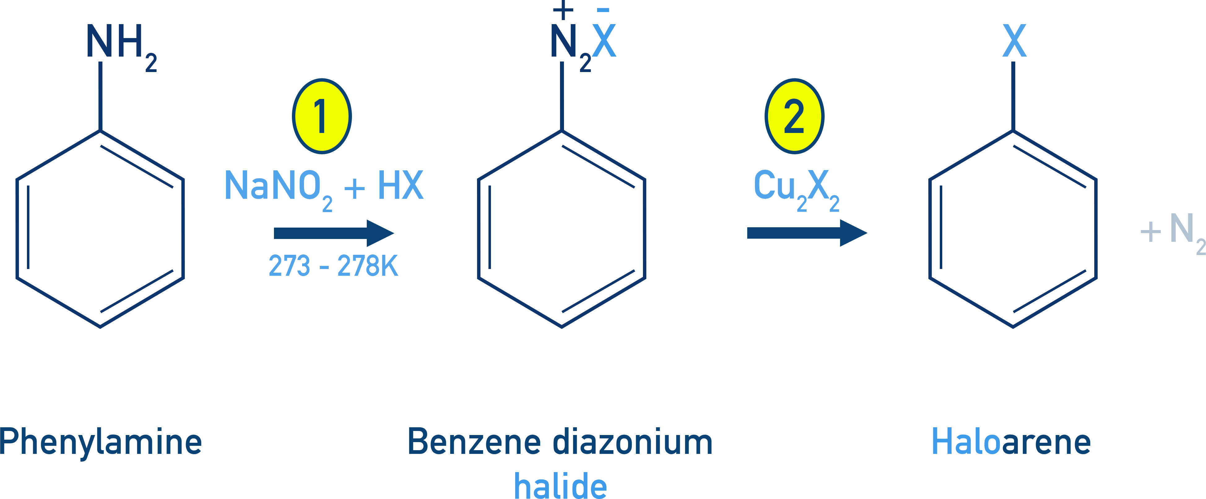 NCERT Class 12 Chemistry Sandmeyer reaction scheme from aniline to benzene diazonium chloride and then to chlorobenzene or bromobenzene.
