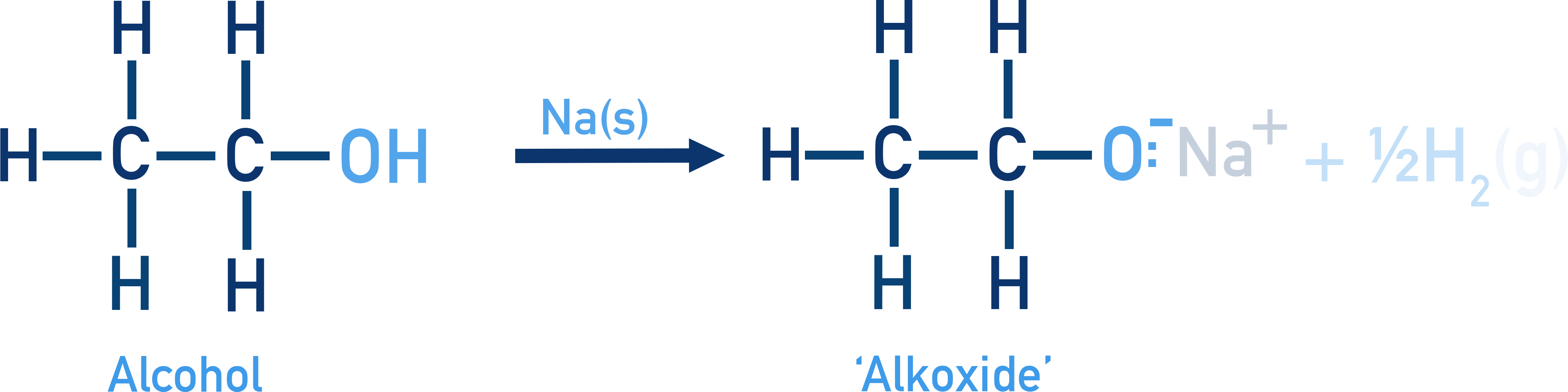 NCERT Class 12 Chemistry reaction of sodium metal with alcohol to give sodium alkoxide and hydrogen gas.