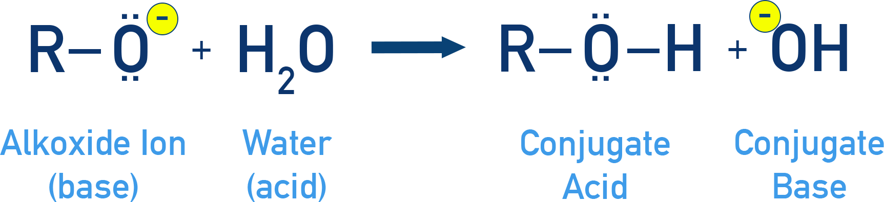 NCERT Class 12 Chemistry equilibrium showing alkoxide abstracting a proton from water to form alcohol and hydroxide.