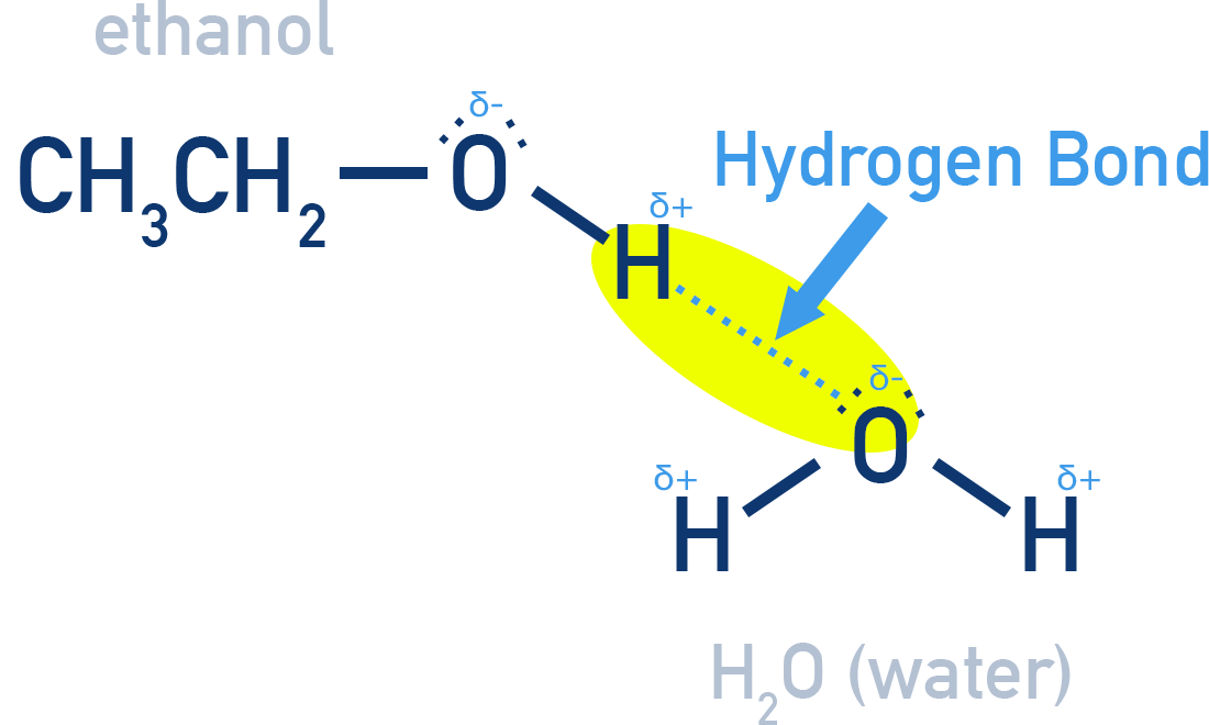 NCERT Class 12 Chemistry diagram showing hydrogen bonding of ethanol with water explaining solubility.