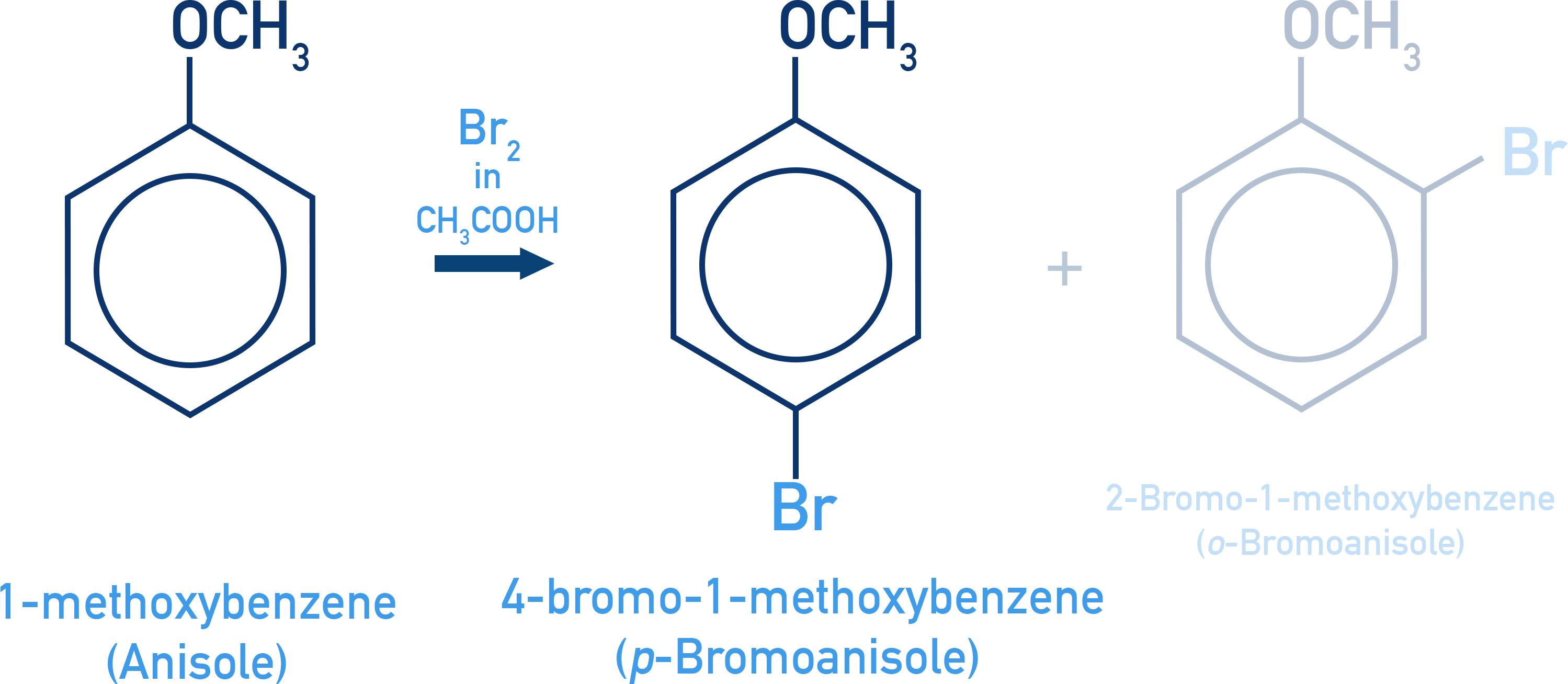 NCERT Class 12 Chemistry reaction of anisole with bromine giving mainly para-bromoanisole and some ortho-bromoanisole.