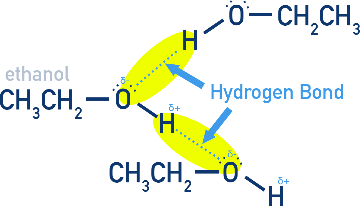 NCERT Class 12 Chemistry depiction of intermolecular hydrogen bonding between alcohol or phenol molecules.
